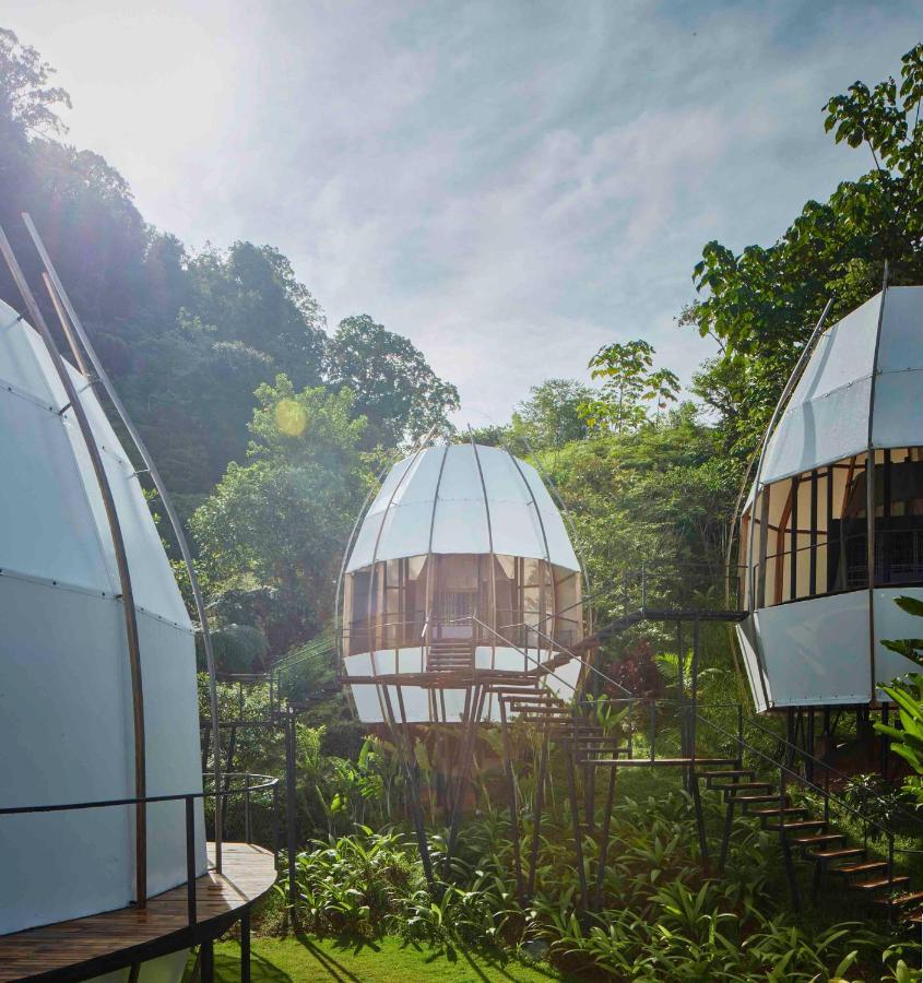 Art Villas Costa Rica, Villas & Glamping Увита Экстерьер фото
